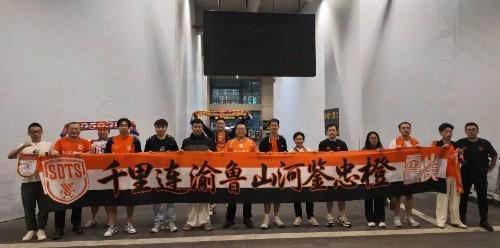 专业bw必威西汉姆联官方网站服务
